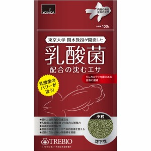 らんちゅう 水槽 60 安いの通販｜au PAY マーケット