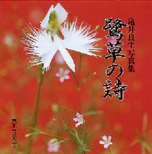 鷺草の詩 亀井良生写真集 [本]