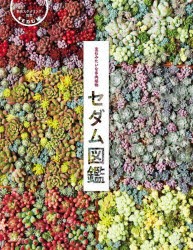 セダム図鑑 宝石みたいな多肉植物 [本]