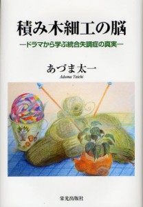 積み木細工の脳 ドラマから学ぶ統合失調症の真実 [本]