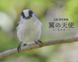 翼の天使エナガ 上田茂写真集 [本]