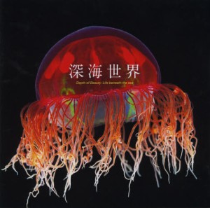 深海世界 Depth of Beauty：Life beneath the sea [本]