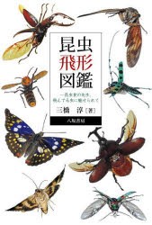 昆虫飛形図鑑 昆虫食の先生、飛んでる虫に魅せられて [本]