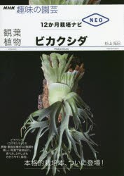 観葉植物ビカクシダ [本]