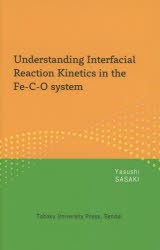 Understanding Interfacial Reaction Kinetics in the Fe‐C-O system [本]