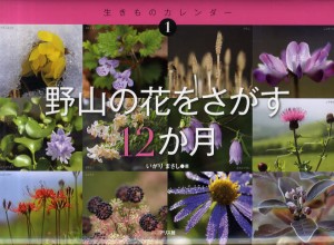 野山の花をさがす12か月 [本]