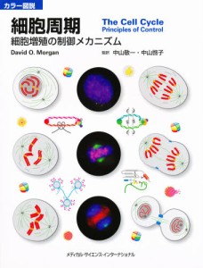 細胞周期 カラー図説 細胞増殖の制御メカニズム [本]