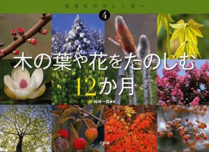 木の葉や花をたのしむ12か月 [本]