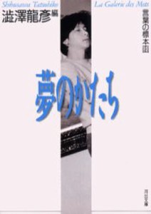 夢のかたち 言葉の標本函 [本]