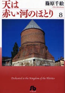 天は赤い河のほとり 8 [本]