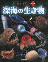 深海の生き物 [本]