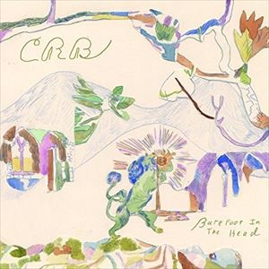 輸入盤 CHRIS ROBINSON BROTHERHOOD / BAREFOOT IN THE HEAD [CD]