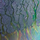 輸入盤 ALT-J / AWESOME WAVE [CD]