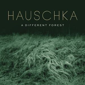 輸入盤 HAUSCHKA / DIFFERENT FOREST [LP]