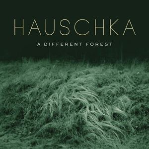 輸入盤 HAUSCHKA / DIFFERENT FOREST [CD]