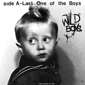 輸入盤 WILD BOYS / WILD BOYS - LAST ONE OF THE BOYS ／ WE’RE ONLY MONSTERS [LP]
