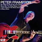 輸入盤 PETER FRAMPTON / ICON [CD]