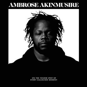 輸入盤 AMBROSE AKINMUSIRE / ON THE TENDER SPOT OF EVERY CALLOUSED MOMENT [CD]