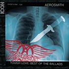 輸入盤 AEROSMITH / ICON [CD]