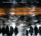 輸入盤 JULIA HULSMANN / IN FULL VIEW [CD]