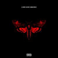 輸入盤 LIL WAYNE / I AM NOT A HUMAN BEING II [CD]