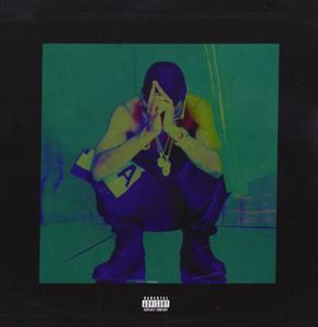 輸入盤 BIG SEAN / HALL OF FAME [CD]