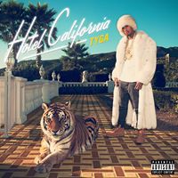 輸入盤 TYGA / HOTEL CALIFORNIA [CD]