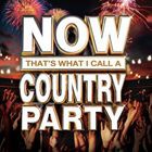 輸入盤 VARIOUS / NOW THAT’S WHAT I CALL A COUNTRY PARTY [CD]