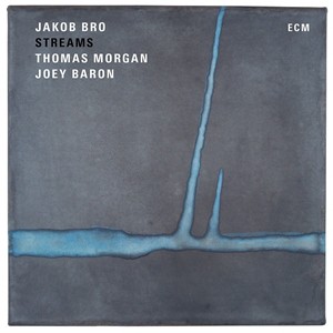 輸入盤 JAKOB BRO / STREAMS [LP]