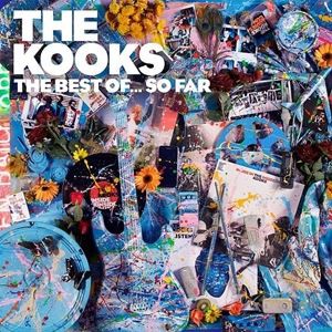 輸入盤 KOOKS / BEST OF... SO FAR [2LP]