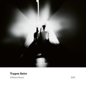 輸入盤 TRYGVE SEIM / DIFFERENT RIVERS [CD]