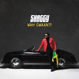 輸入盤 SHAGGY / WAH GWAAN?! [2LP]