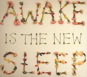 輸入盤 BEN LEE / AWAKE IS THE NEW SLEEP [CD]