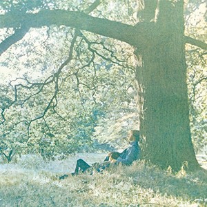 輸入盤 YOKO ONO / PLASTIC ONO BAND [LP]