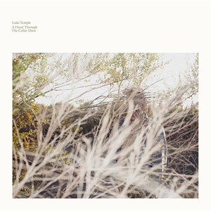 輸入盤 LUKE TEMPLE / HAND THROUGH THE CELLAR DOOR （LTD） [LP]