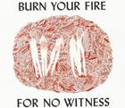 輸入盤 ANGEL OLSEN / BURN YOUR FIRE FOR NO WITNESS [LP]