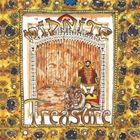 輸入盤 MIDNITE / TREASURE [CD]