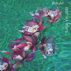 輸入盤 BRHYM / DEEP SEA VENTS [LP]