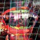 輸入盤 ANIMAL COLLECTIVE / CENTIPEDE HZ [CD]