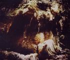 輸入盤 WOLVES IN THE THRONE ROOM / CELESTIAL LINEAGE [CD]