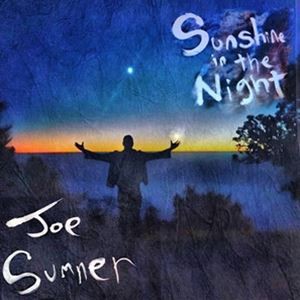 輸入盤 JOE SUMNER / SUNSHINE IN THE NIGHT [LP]