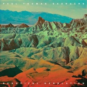 輸入盤 PAUL THOMAS SAUNDERS / BEAUTIFUL DESOLATION [LP]