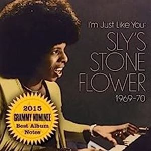 輸入盤 SLY STONE / I’M JUST LIKE YOU ： SLY’S [LP]