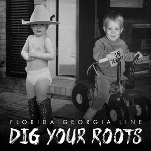 輸入盤 FLORIDA GEORGIA LINE / DIG YOUR ROOTS [2LP]