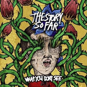 輸入盤 STORY SO FAR / WHAT YOU DON’T SEE [CD]