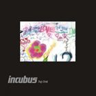 輸入盤 INCUBUS / INCUBUS HQ LIVE （SPECIAL） [2CD＋DVD]