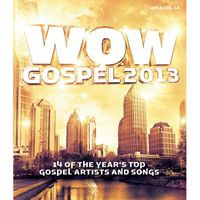 輸入盤 VARIOUS / WOW GOSPEL 2013 [DVD]