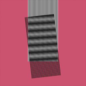 輸入盤 HOT CHIP / WHY MAKE SENSE? （2CD／DLX） [2CD]