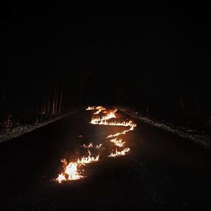 輸入盤 BOB MOSES / BATTLE LINES [CD]