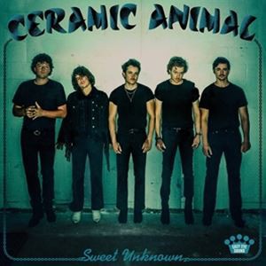 輸入盤 CERAMIC ANIMAL / SWEET UNKNOWN [CD]